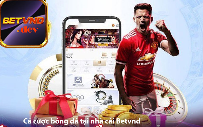 Cá cược bóng đá tại nhà cái Betvnd