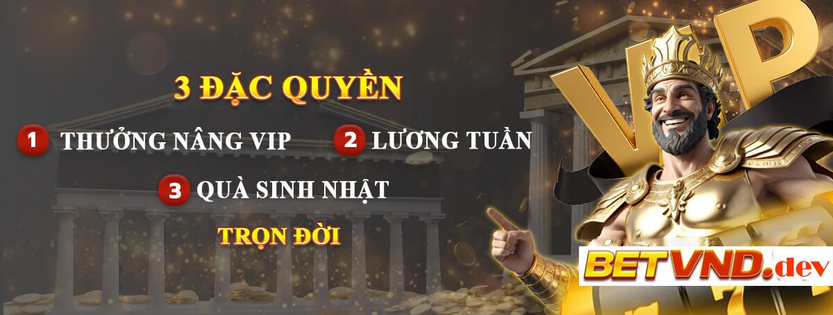 banner mới betvnd